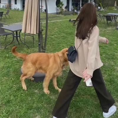 惊天营救
